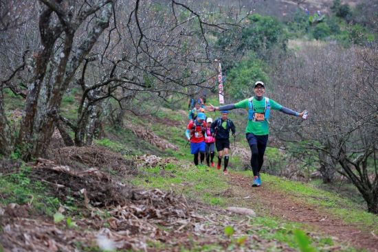 Khách nước ngoài chạy marathon giữa mùa hoa Mộc Châu