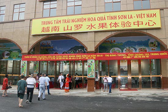 Khai trương Tuần lễ nhãn và nông sản an toàn tỉnh Sơn La tại Bằng Tường, Quảng Tây (Trung Quốc)