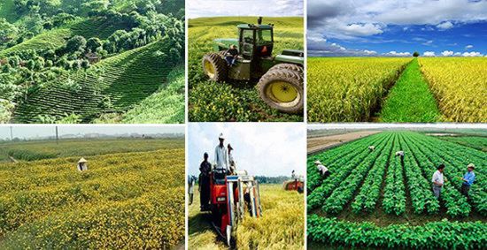 Thông báo về việc bổ sung thông tin vào danh mục dự án khuyến khích doanh nghiệp đầu tư vào nông nghiệp, nông thôn trên địa bàn tỉnh Sơn La giai đoạn 2021 - 2025