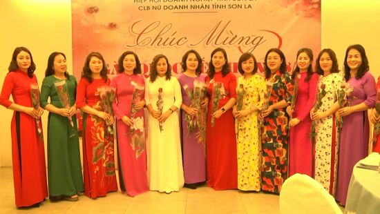 CLB Nữ Doanh nhân tỉnh tổ chức gặp mặt tọa đàm nhân kỷ niệm 111 năm Ngày Quốc tế phụ nữ 8/3.
