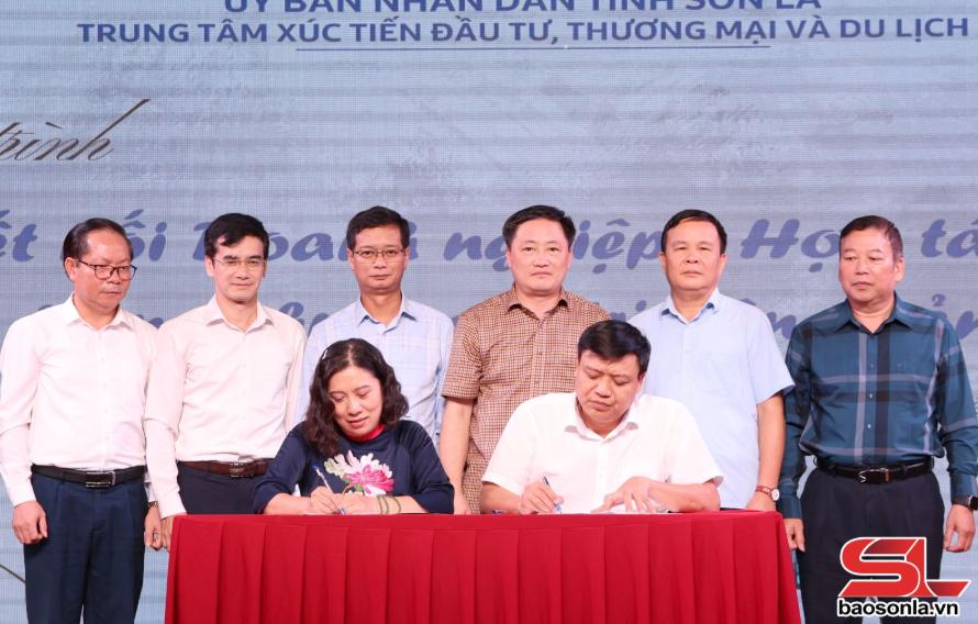  Kết nối doanh nghiệp – hợp tác xã trong chuỗi giá trị nông sản  