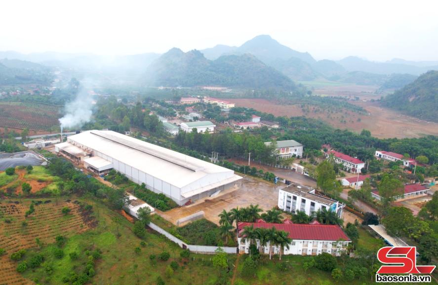 SBA kết nối cộng đồng doanh nghiệp SBA kết nối cộng đồng doanh nghiệp