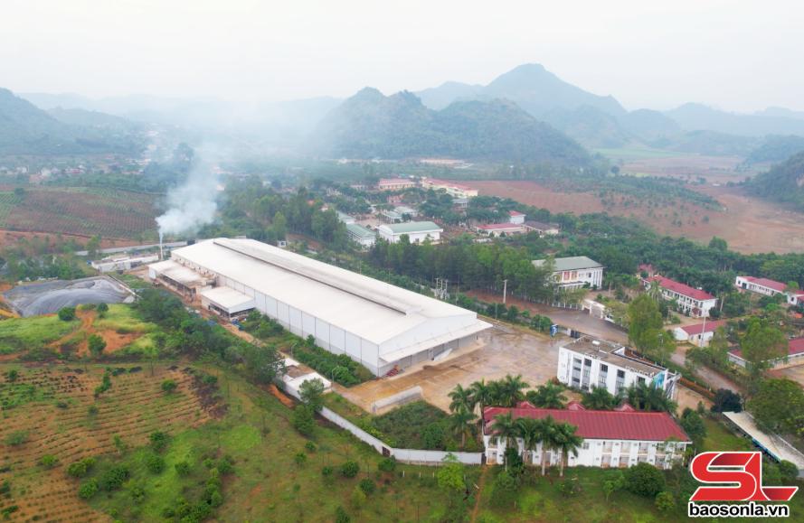 Cộng đồng doanh nghiệp thúc đẩy phát triển KT-XH Cộng đồng doanh nghiệp thúc đẩy phát triển KT-XH