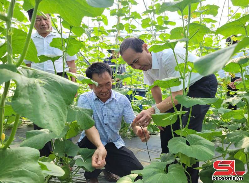 Đồng hành cùng doanh nghiệp phát triển