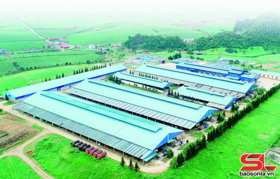  Sơn La phát triển kinh tế tư nhân  