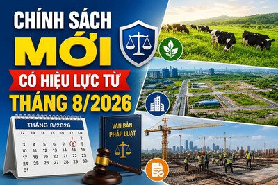 Chính sách mới có hiệu lực từ tháng 8/2026