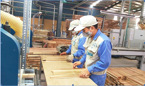 Chính phủ ban hành Quy định Hệ thống bảo đảm gỗ hợp pháp Việt Nam